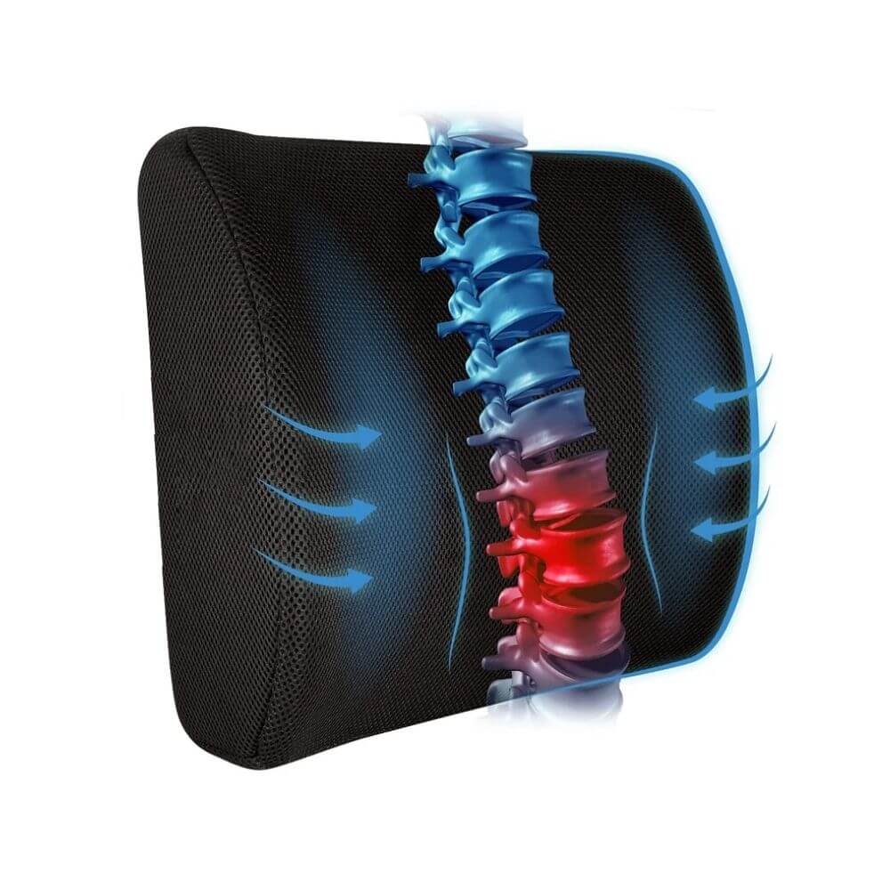 Coussin pour Lombaires et Dos