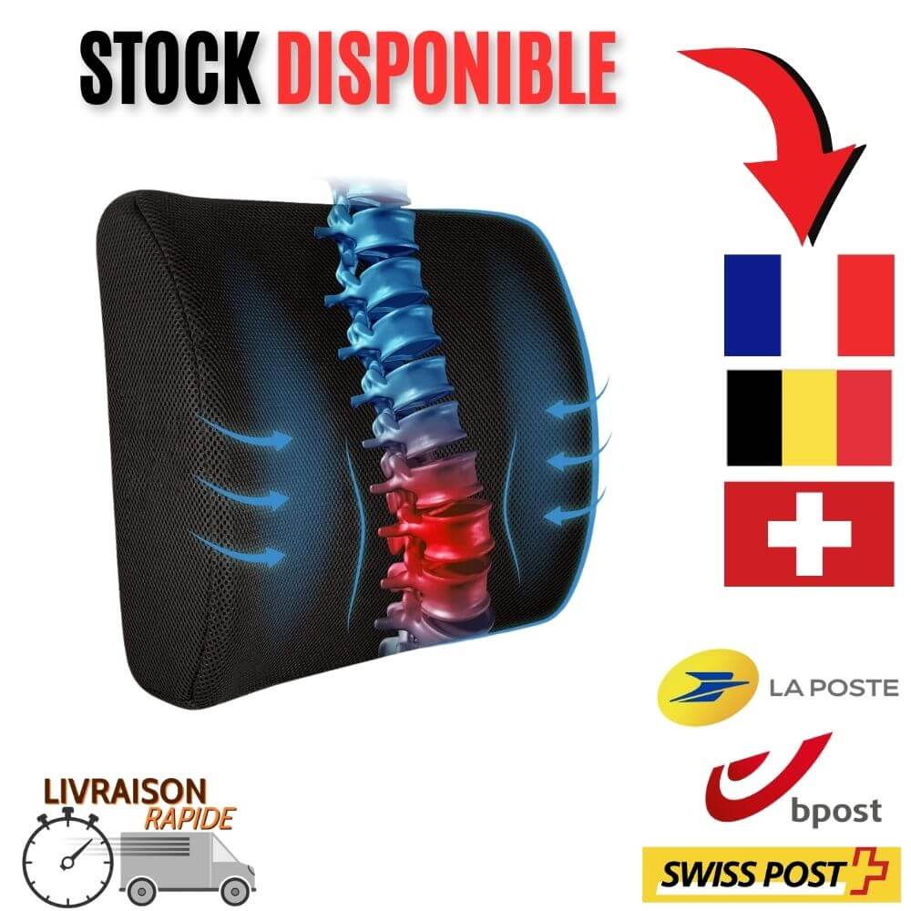 Coussin pour Lombaires et Dos